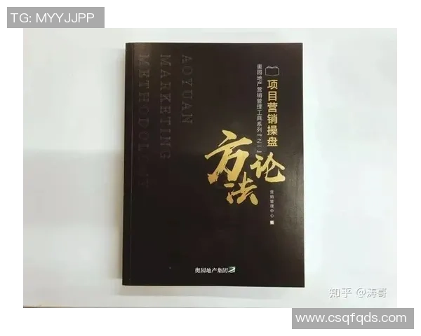 重庆足球队运营革新探讨：从管理模式到市场营销的全方位升级之路